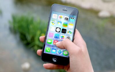 Mobile-Friendly Website Design