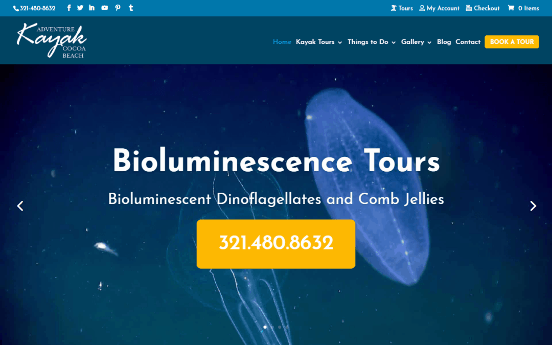 Adventure Kayak of Cocoa Beach WordPress Website Redesign