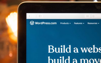 How to Leverage the WordPress Community for Better SEO
