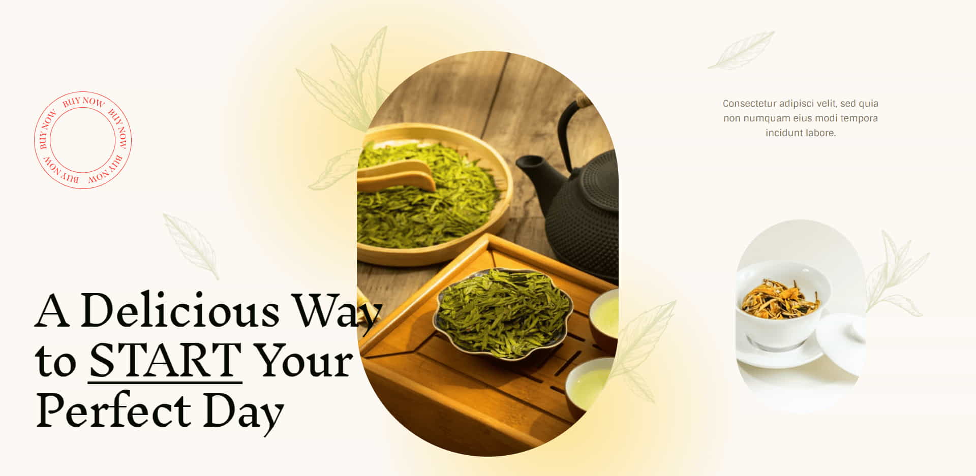 Websites Promote You Twenty Four Seven Websites Promote You Twenty Four Seven