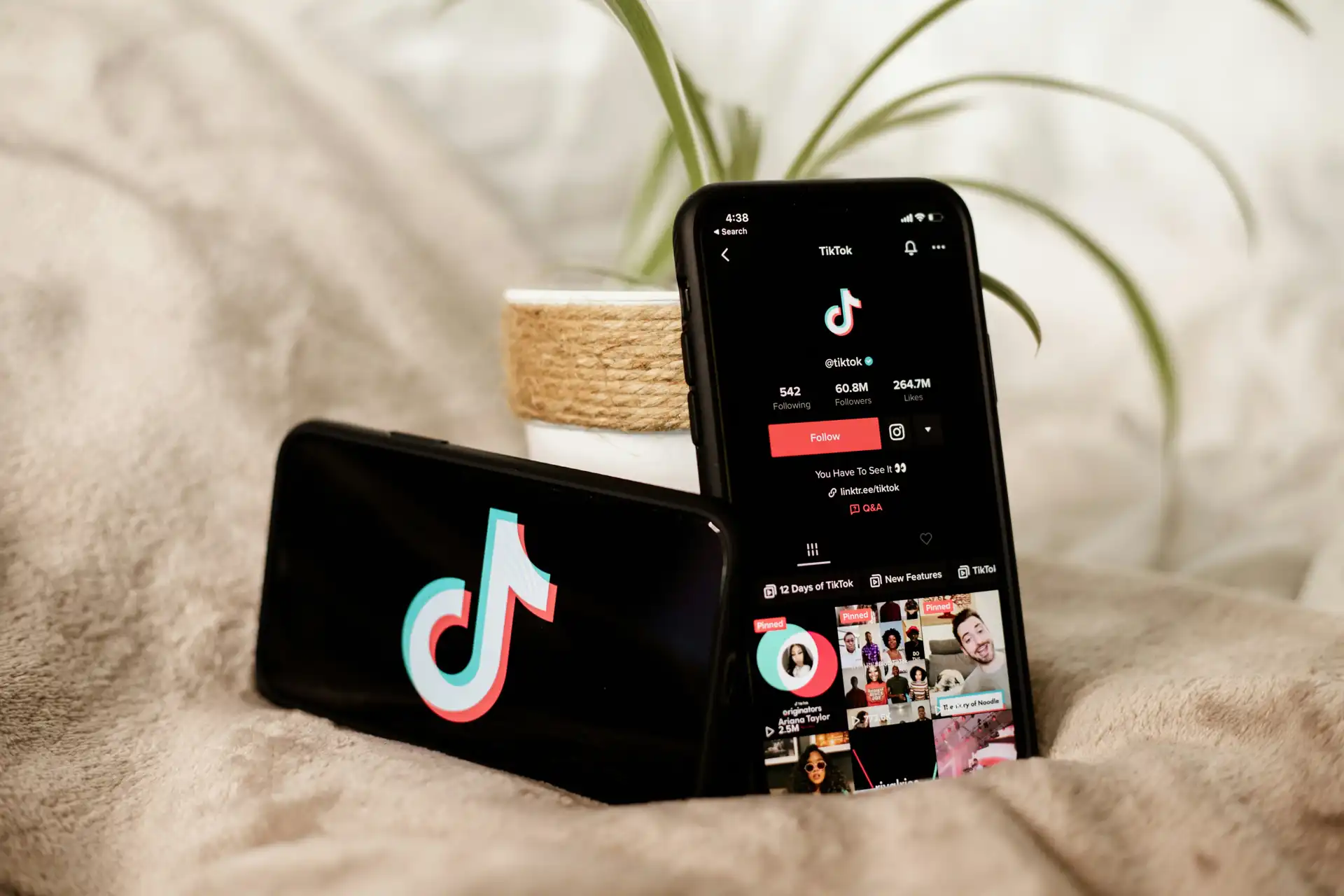 Insights on Integrating Tiktok With Your Site Insights on Integrating Tiktok With Your Site